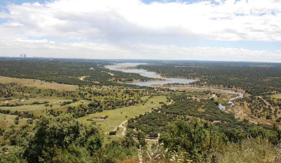 Zonas verdes de Madrid, Vista del Monte El Pardo desde la sierra